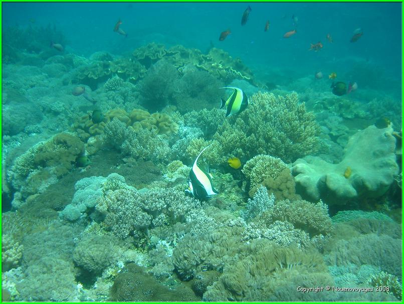 NUSA LEMBONGAN 
