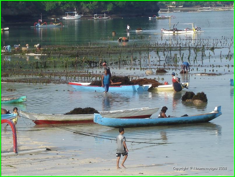 NUSA LEMBONGAN  a marée basse 