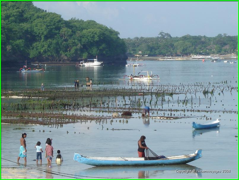 NUSA LEMBONGAN  a marée basse 