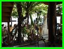 BUNGA BUNGALOW le bar 