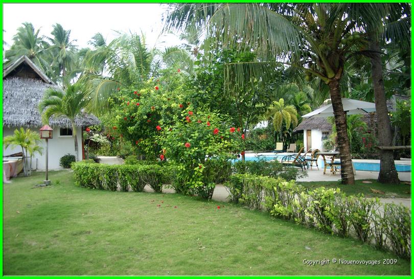DSC02802