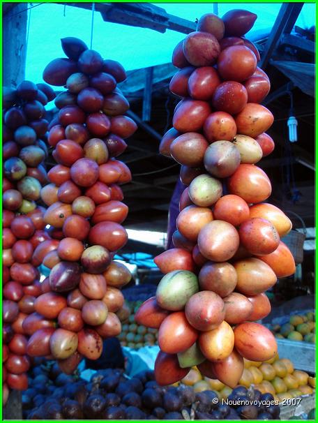 AUBERGINES FRUITS