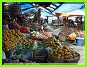 ETALE DE LEGUMES