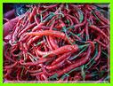 DES PIMENTS