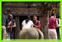 DANSE BATAK ET PARTICIPATION DU PUBLIC