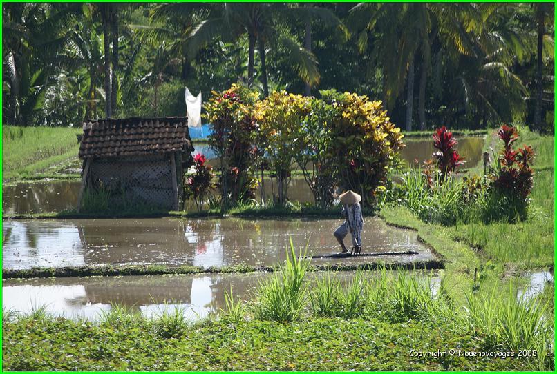 KETUT TREK 