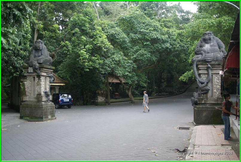 MONKEY FOREST