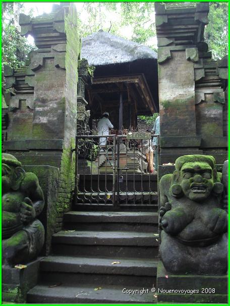 MONKEY FOREST