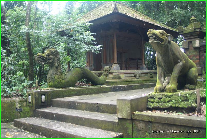 MONKEY FOREST 