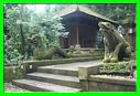 MONKEY FOREST 