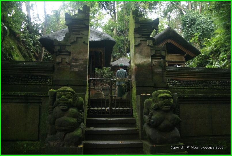 MONKEY FOREST 