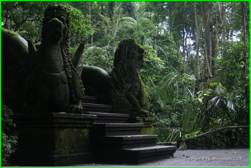 MONKEY FOREST 