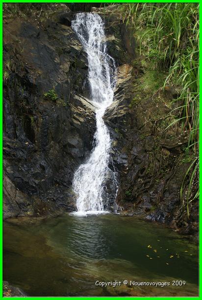 DSC02352