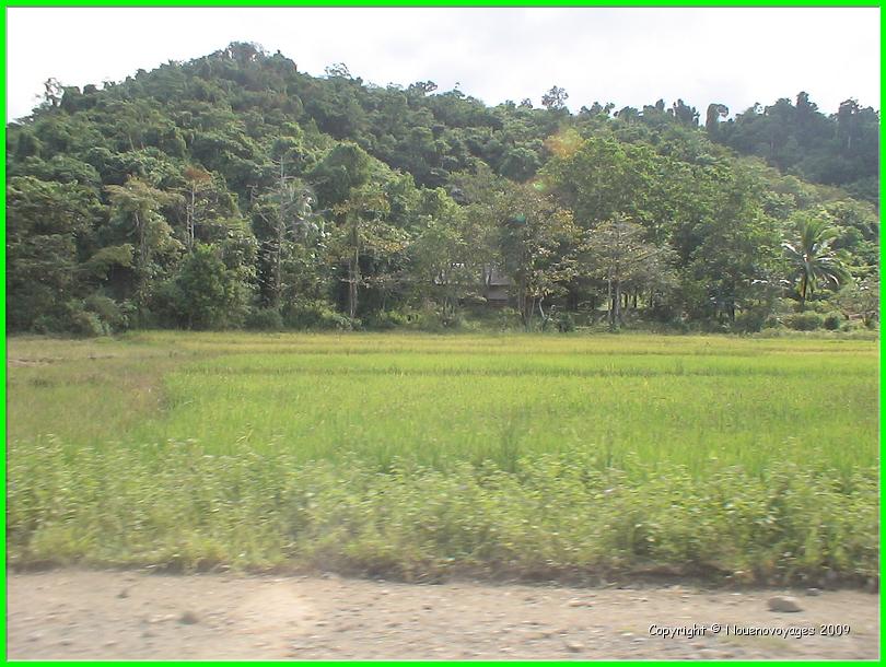 DSC05524